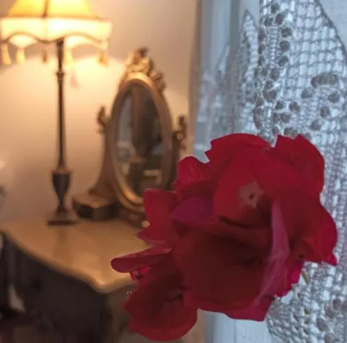 Aparthotel Sifnos View Apollonia